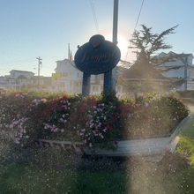 Vincenzo Maisano - Ocean Drive Route (NJ)