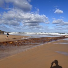 Lincoln Quilliam, Matt Pearce, Jake Terhell, Nick Charles - takayna coast - Pieman heads to Temma