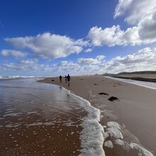 Lincoln Quilliam, Matt Pearce, Jake Terhell, Nick Charles - takayna coast - Pieman heads to Temma