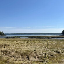 Paul Kell - Sweet Trail (Out and Back) (NH)