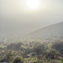 Randi Aalgaard - Opplev Dalane – hovedtrasé 1 (Norway)