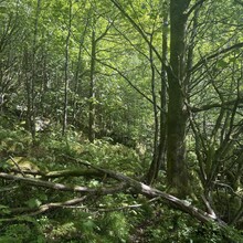 Randi Aalgaard - Opplev Dalane – hovedtrasé 1 (Norway)