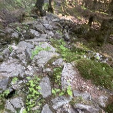 Randi Aalgaard - Opplev Dalane – hovedtrasé 1 (Norway)