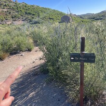 Nathan Cohen, Jeni Cohen - Satwiwa to Sandstone Peak