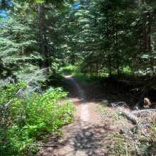 Trevor Wichmann, Connor O'Brien - Surveyor's Ridge Trail (OR)