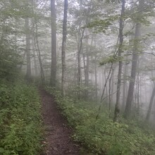 Alyx Luck Barnett, Beth Minnick - Virginia High Point Traverse