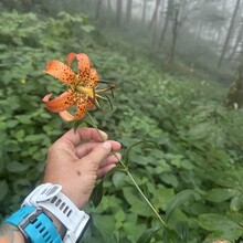 Alyx Luck Barnett, Beth Minnick - Virginia High Point Traverse