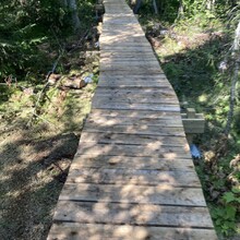 Andrea Larson - Superior Hiking Trail (MN)