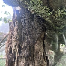 Alyx Luck Barnett, Beth Minnick - Virginia High Point Traverse