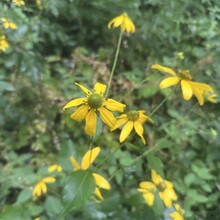 Alyx Luck Barnett, Beth Minnick - Virginia High Point Traverse