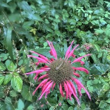 Alyx Luck Barnett, Beth Minnick - Virginia High Point Traverse