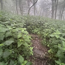 Alyx Luck Barnett, Beth Minnick - Virginia High Point Traverse