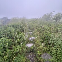 Alyx Luck Barnett, Beth Minnick - Virginia High Point Traverse