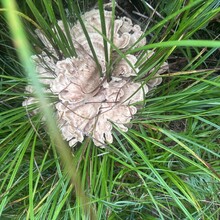 Alyx Luck Barnett, Beth Minnick - Virginia High Point Traverse