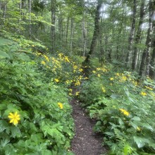 Alyx Luck Barnett, Beth Minnick - Virginia High Point Traverse