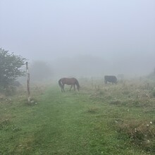 Alyx Luck Barnett, Beth Minnick - Virginia High Point Traverse