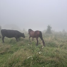 Alyx Luck Barnett, Beth Minnick - Virginia High Point Traverse