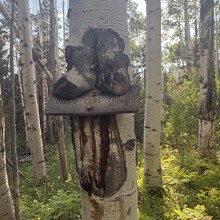 Andrew Pontbriand - Black Mountain Loop (CO)