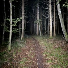 Daniel Hernes - Ostweg