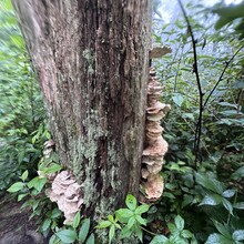 Alyx Luck Barnett, Beth Minnick - Virginia High Point Traverse