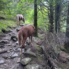Alyx Luck Barnett, Beth Minnick - Virginia High Point Traverse