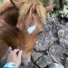 Alyx Luck Barnett, Beth Minnick - Virginia High Point Traverse