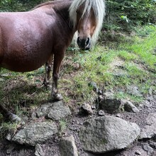Alyx Luck Barnett, Beth Minnick - Virginia High Point Traverse
