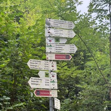 Daniel Hernes - Ostweg