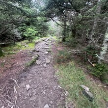 Alyx Luck Barnett, Beth Minnick - Virginia High Point Traverse