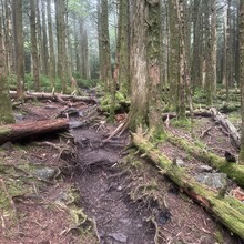 Alyx Luck Barnett, Beth Minnick - Virginia High Point Traverse