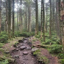 Alyx Luck Barnett, Beth Minnick - Virginia High Point Traverse