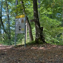 Daniel Hernes - Ostweg