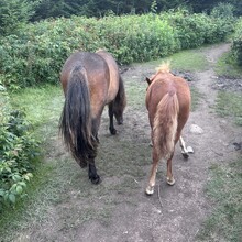 Alyx Luck Barnett, Beth Minnick - Virginia High Point Traverse