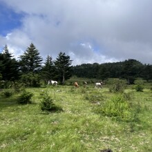 Alyx Luck Barnett, Beth Minnick - Virginia High Point Traverse
