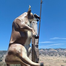 Matthew Marron - The Sisters