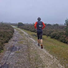 Andy Imms, Tim McDowell - New Forest N-S (United Kingdom)