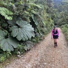 Andréanne Pinard, David Deslauriers - El Camino de Costa Rica (Costa Rica)