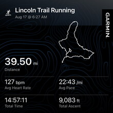 Viggo Fish - Desolation Loop (NH)