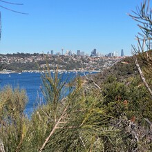 Andrew Scott - Harbour to Hawkesbury Track