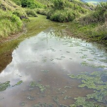 Jason Espero - Wai'anae Moku Perimeter (HI)