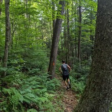 Faith Hall, Steve Szakal - Susquehannock Trail System Loop, Southern Gateway (PA)