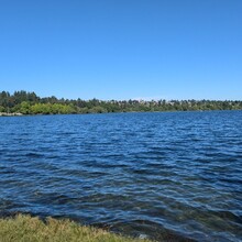 Sam Schmidt - Seattle Olmsted 50k