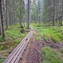 Ole Engen - Tårntur Åsleia - Hauerseter