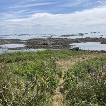 Richard Van Neste - Jersey Intertidal Challenge