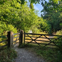 Laura Parkin - Llwybr Ceiriog Trail (United Kingdom)