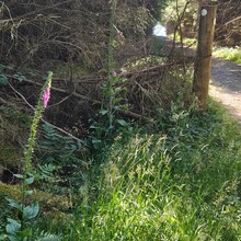Laura Parkin - Llwybr Ceiriog Trail (United Kingdom)