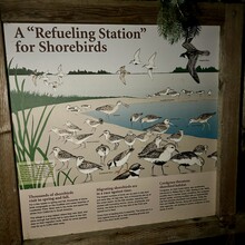 Greg Nance - Long Beach Peninsula Traverse