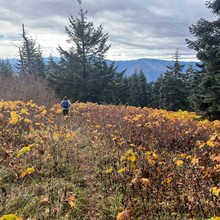 Marta Fisher, Rick Kneedler - Cook-Aug-Dog Traverse (WA)