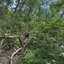 Callie Gensel, Angela Schoonover - West Rim Trail (Lycoming County, PA)