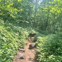 Philip Bernier, Mirella Brouillard - 3 Sommets du Parc National des Grands-Jardins (QC, Canada)
